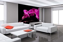 Fototapeta do spálne Ružová orchidea 18499 - samolepiaca na stenu