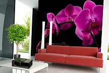 Fototapeta do spálne Ružová orchidea 18499 - samolepiaca na stenu