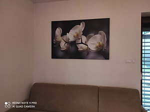 obraz orchidea - obývacia izba