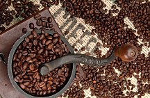 Coffee Beans and Grinder - fototapeta FS0593