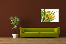 Žlté tulipány  Obraz CD0214