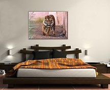 Tiger alfa - Obraz CD0439