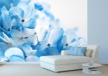 Modré kvety - fototapeta FM0454
