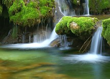 Lesný vodopád - fototapeta FM0459