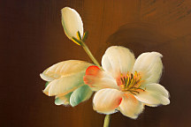 Dekoračné Tapety Kvety 18524 - vliesová