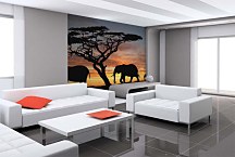 Fototapeta Afrika - Slony 460 - samolepiaca na stenu