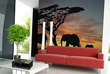 Fototapeta Afrika - Slony 460 - samolepiaca na stenu
