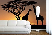 Fototapeta Afrika - Žirafy 3159 - samolepiaca na stenu