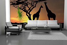 Fototapeta Afrika - Žirafy 3159 - vliesová
