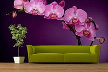 Fototapeta Fialová orchidea 85 - samolepiaca na stenu