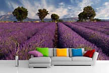 Fototapeta Levanduľové pole  - Provence Francúzsko 3210 - vliesová