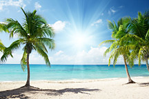 Fototapeta Palmová pláž 399 - samolepiaca na stenu
