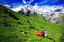 Fototapeta Príroda v Alpách 10107 - samolepiaca