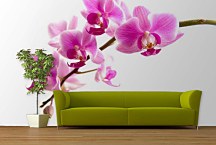 Fototapeta Ružová orchidea 99 - vliesová
