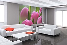 Fototapeta Ružové tulipány 86 - samolepiaca na stenu