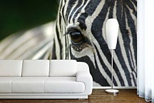 Fototapeta Zebra 119 - samolepiaca na stenu