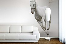 Fototapeta Zvietatá - Biely kôň 132 - samolepiaca