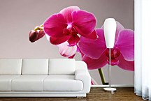 Fototapeta s Ružovou orchideou 3146 - vinylová
