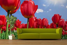 Fototapeta s červenými tulipánmi 89 - samolepiaca na stenu