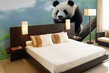 Fototapety Zvierat - Panda 349 - samolepiaca na stenu