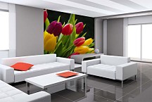 Fototapety s Tulipánmi 3131 - samolepiaca na stenu
