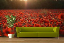 Fototapety s kvetmi - Červené maky 104 - vliesová