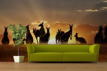 Fototapety zvierat - Kengury v buši 3195 - samolepiaca na stenu