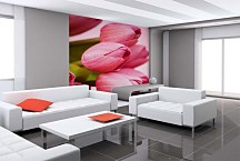 Kvetinové tapety Ružové tulipány 3143 - samolepiaca na stenu