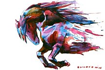 Moderná tapeta pre deti - Maľovaný Kôň 353 - vliesová