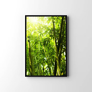 Plagát Bambusový les zs29127