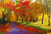 Príroda Fototapety - Stromy v jeseni 396 - samolepiaca na stenu