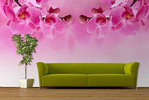 Ružová tapeta - Orchidea 267 - vinylová