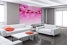 Ružová tapeta - Orchidea 267 - vliesová