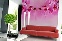 Ružová tapeta - Orchidea 267 - latexová