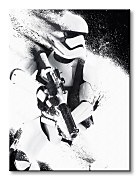 Star Wars Episode VII (Stormtrooper Paint) - obraz WDC99327