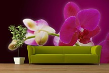 Tapeta s orchideou 18605 - samolepiaca na stenu