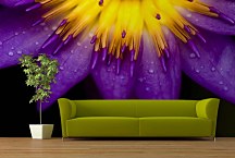 Tapety do obývačky Fialový kvet 18498 - samolepiaca na stenu