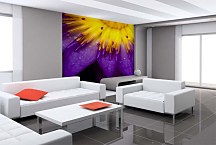 Tapety do obývačky Fialový kvet 18498 - samolepiaca na stenu