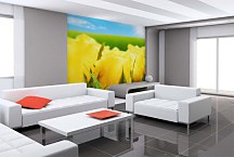 Tapety s kvetmi - Žlté Tulipány 107 - samolepiaca na stenu