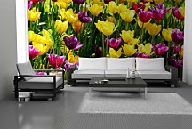 Tapety s kvetmi Tulipány 3150 - samolepiaca na stenu