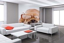 Zvieracie fototapety - Pes s okuliarmi 120 - samolepiaca na stenu