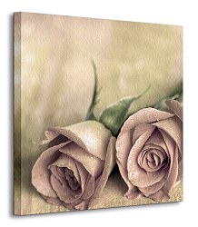 Roses - Obraz CKS0185