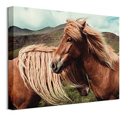 Horses with mane - obraz Keller Brandan CAA3785