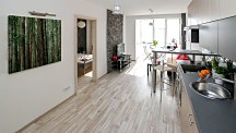 Gold Dan Obraz Crescent Woods CD3725