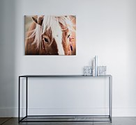 Obraz Andres Raphael - Switzerland horse CD3782
