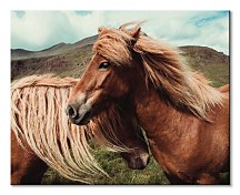 Obraz Horses with mane - Keller Brandan CHI3785