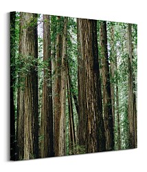 Crescent Woods - obraz CKM3725