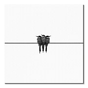 Black swallow - obraz CKM3741
