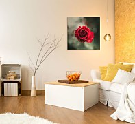 International Rose Test Garden - obraz Keister Cole CKM3744