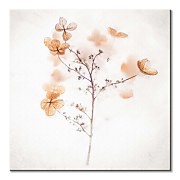 Naj obraz - Frozen dried hydrangeas in ice CKS3711